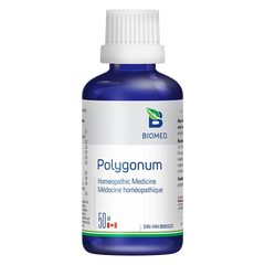 Polygonum
