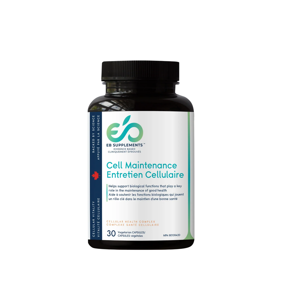 Entretien Cellulaire - Cell Maintenance
