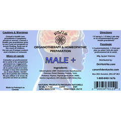 Male +
