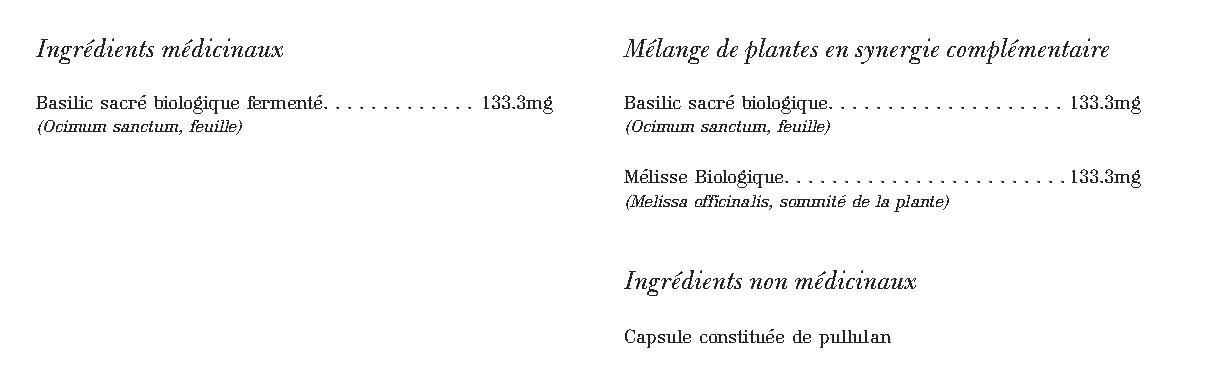 Basilic Sacré Vivant